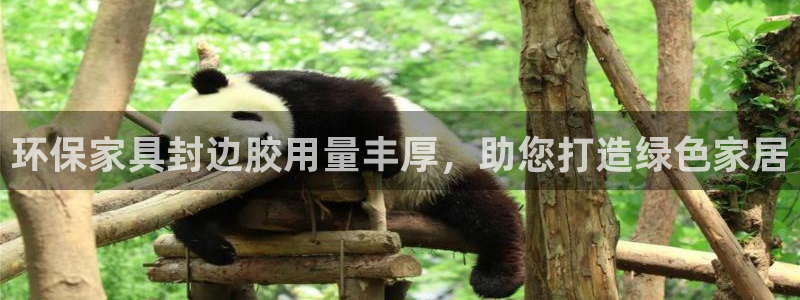 杏耀平台手机