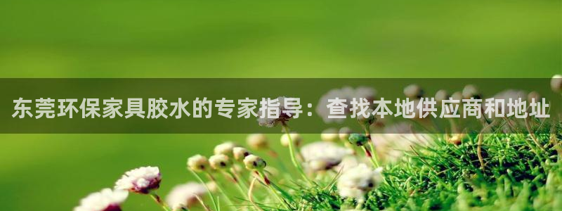 杏耀登陆电脑线路测速