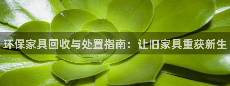杏耀平台网页版
