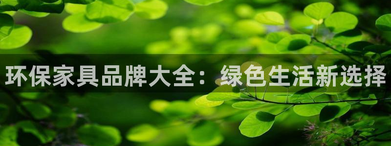 杏耀注册登录代理