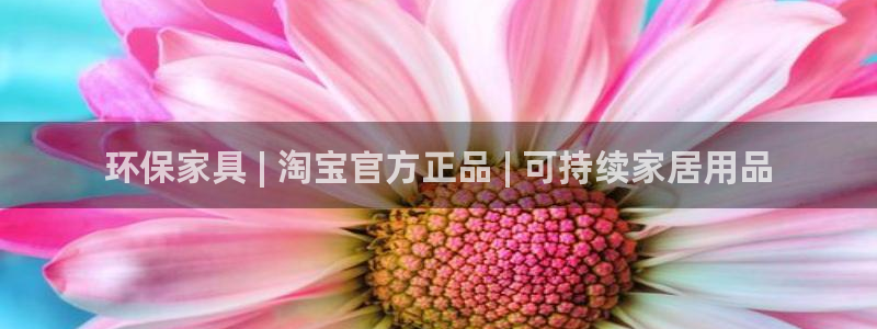 杏耀手机网页登录入口