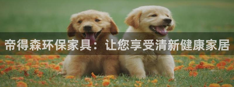 杏耀平台代理登录网址