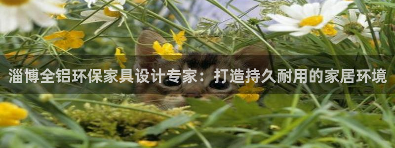 杏耀注册线路