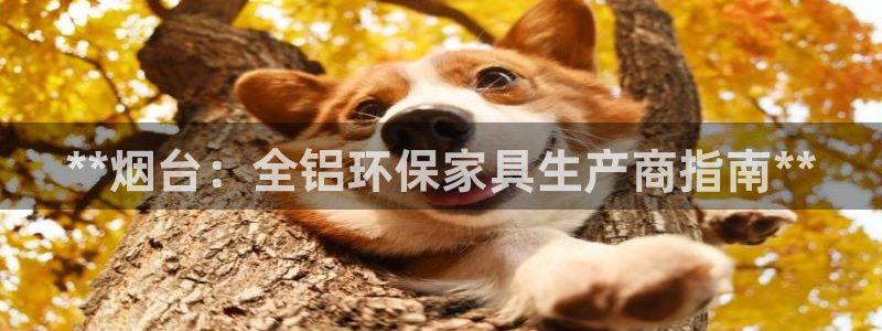 杏耀平台怎样