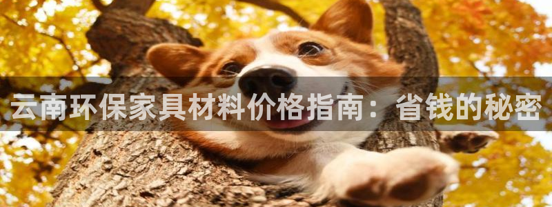 杏耀注册登录测速