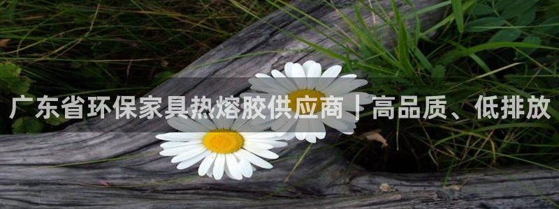 杏耀平台代理