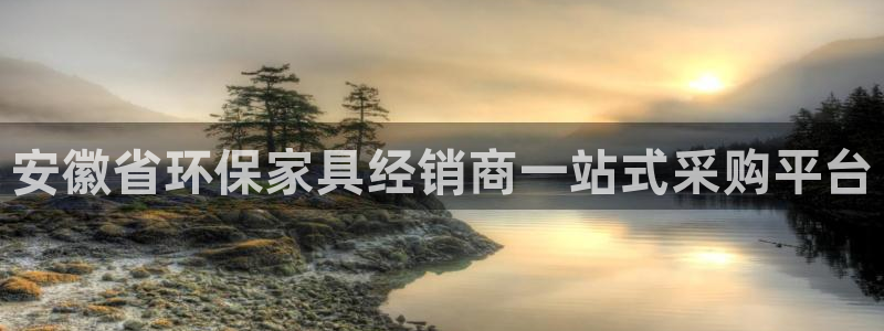 杏耀注册开户：安徽省环保家具经销商一站式采购平台