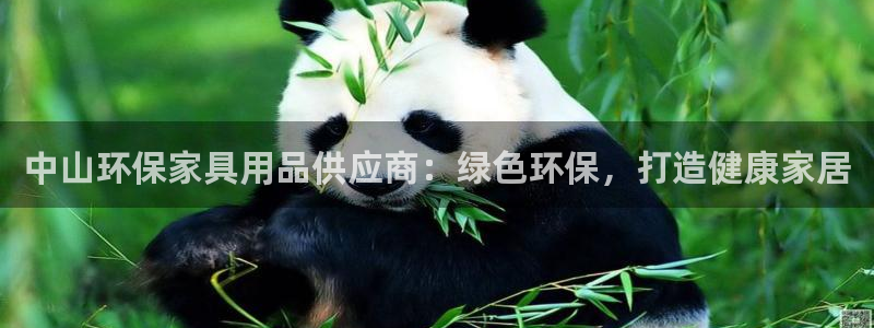 杏耀登陆电脑线路测速：中山环保家具用品供应商：绿色环保，打造