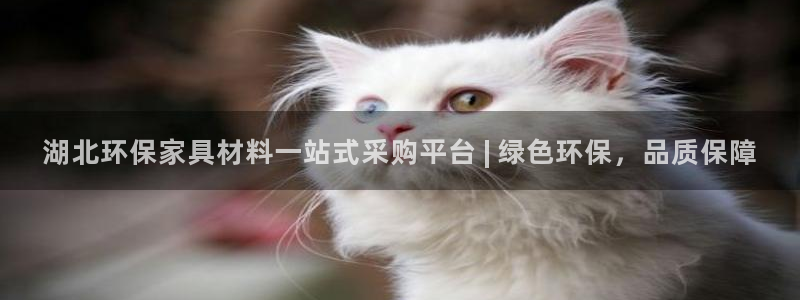 杏耀官方娱乐