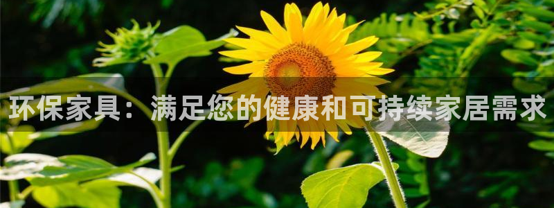 杏耀平台官方网站下载