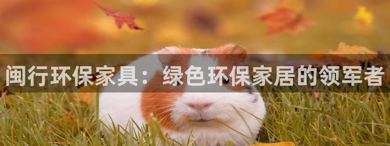 杏耀官方娱乐