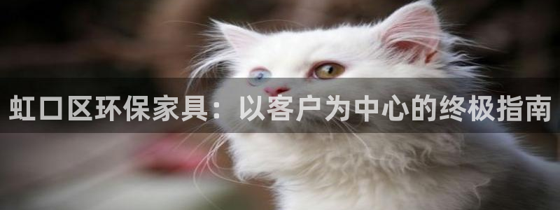 杏耀平台指定：虹口区环保家具：以客户为中心的终极指南