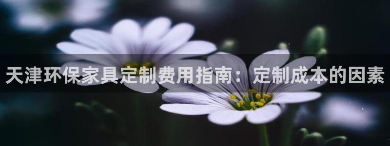 杏耀登陆测速