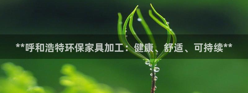 杏耀代理官网：**呼和浩特环保家具加工：健康、舒适、可持续*