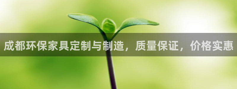 杏耀客户端登录：成都环保家具定制与制造，质量保证，价格实惠