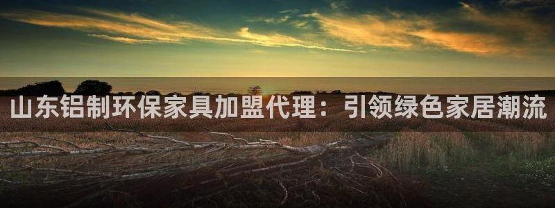 杏耀注册中心：山东铝制环保家具加盟代理：引领绿色家居潮流