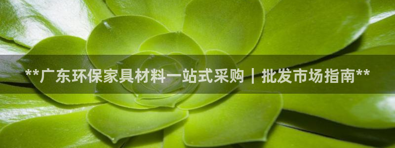 杏耀平台客户端