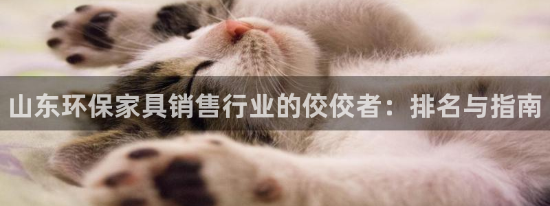 杏耀平台分红
