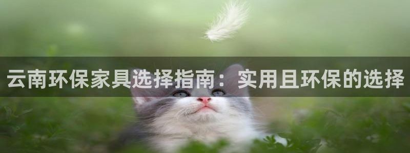 杏耀平台的专用通道