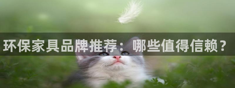 杏耀平台手机app