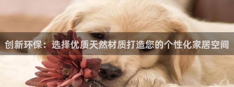 杏耀官网网站