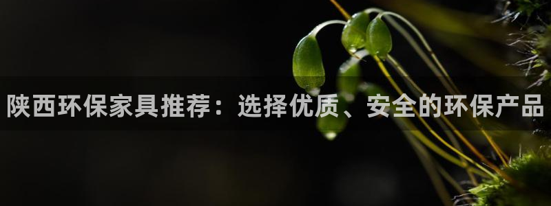 杏耀平台专用通道