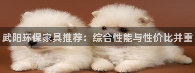 杏耀登陆网站：武阳环保家具推荐：综合性能与性价比并重