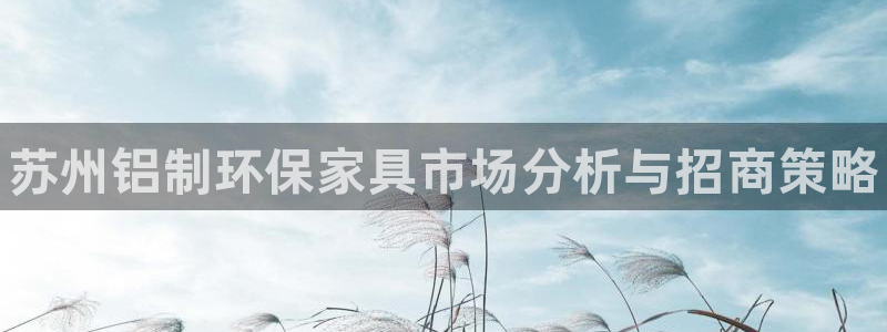 杏耀平台到底能玩吗：苏州铝制环保家具市场分析与招商策略