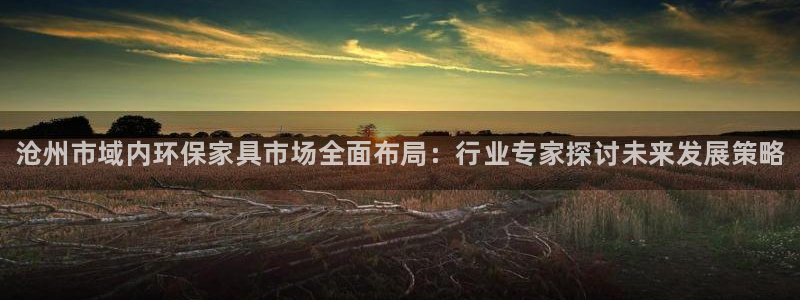 杏耀平台测速地址：沧州市域内环保家具市场全面布局：行业专家探