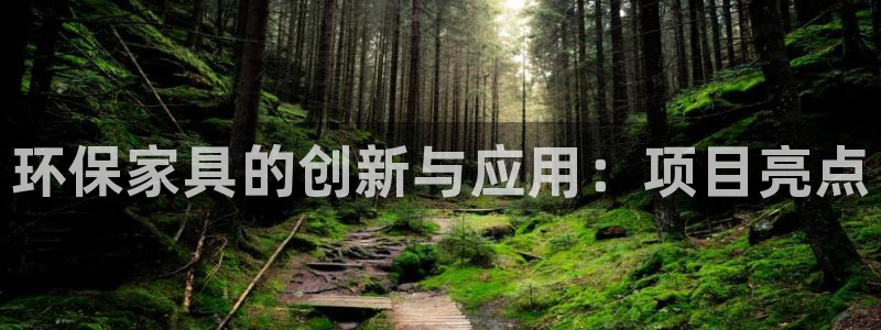 杏耀总代：环保家具的创新与应用：项目亮点