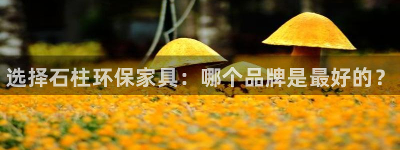 杏耀平台注册网址：选择石柱环保家具：哪个品牌是最好的？